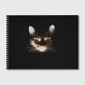 Альбом для рисования с принтом Зеленоглазый кот в Екатеринбурге, 100% бумага
 | матовая бумага, плотность 200 мг. | Тематика изображения на принте: зеленые глаза | кот | котик | кошак | кошатнику | кошатнице | кошачий портрет | кошка | кошка с зелеными глазами | кружка | любительнице ко | любителю кошек | подушка | полосатый кот | портрет кота