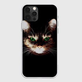 Чехол для iPhone 12 Pro Max с принтом Зеленоглазый кот в Екатеринбурге, Силикон |  | зеленые глаза | кот | котик | кошак | кошатнику | кошатнице | кошачий портрет | кошка | кошка с зелеными глазами | кружка | любительнице ко | любителю кошек | подушка | полосатый кот | портрет кота