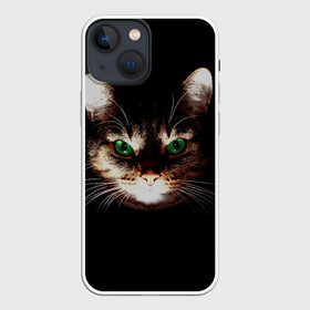 Чехол для iPhone 13 mini с принтом Зеленоглазый кот в Екатеринбурге,  |  | зеленые глаза | кот | котик | кошак | кошатнику | кошатнице | кошачий портрет | кошка | кошка с зелеными глазами | кружка | любительнице ко | любителю кошек | подушка | полосатый кот | портрет кота