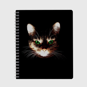 Тетрадь с принтом Зеленоглазый кот в Екатеринбурге, 100% бумага | 48 листов, плотность листов — 60 г/м2, плотность картонной обложки — 250 г/м2. Листы скреплены сбоку удобной пружинной спиралью. Уголки страниц и обложки скругленные. Цвет линий — светло-серый
 | Тематика изображения на принте: зеленые глаза | кот | котик | кошак | кошатнику | кошатнице | кошачий портрет | кошка | кошка с зелеными глазами | кружка | любительнице ко | любителю кошек | подушка | полосатый кот | портрет кота