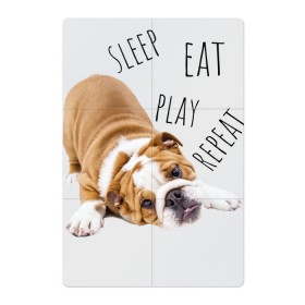 Магнитный плакат 2Х3 с принтом Sleep Eat Play Repeat (Бульдог) в Екатеринбурге, Полимерный материал с магнитным слоем | 6 деталей размером 9*9 см | Тематика изображения на принте: bulldog | dog | puppy | sleep eat play repeat | английский бульдог | бульдог | бульдог английский | веселая собака | веселый щенок | игривый щенок | мысли с | мысли щенка | рыжая собака | рыжий щенок | собачья жизнь