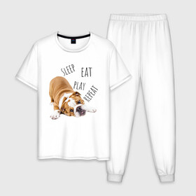 Мужская пижама хлопок с принтом Sleep Eat Play Repeat (Бульдог) в Екатеринбурге, 100% хлопок | брюки и футболка прямого кроя, без карманов, на брюках мягкая резинка на поясе и по низу штанин
 | Тематика изображения на принте: bulldog | dog | puppy | sleep eat play repeat | английский бульдог | бульдог | бульдог английский | веселая собака | веселый щенок | игривый щенок | мысли с | мысли щенка | рыжая собака | рыжий щенок | собачья жизнь