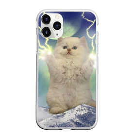Чехол для iPhone 11 Pro Max матовый с принтом Грозовой Котик в Екатеринбурге, Силикон |  | cat | cats | memes | гроза | грозовой | грозовой кошак | животные | кот | котенок | котик | котята | кошак | кошка | мем | мемы | молнии | молния | прикол | прикольные