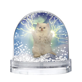 Снежный шар с принтом Грозовой Котик в Екатеринбурге, Пластик | Изображение внутри шара печатается на глянцевой фотобумаге с двух сторон | cat | cats | memes | гроза | грозовой | грозовой кошак | животные | кот | котенок | котик | котята | кошак | кошка | мем | мемы | молнии | молния | прикол | прикольные