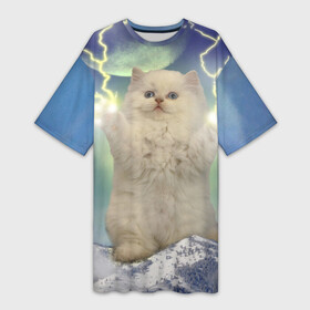Платье-футболка 3D с принтом Грозовой Котик в Екатеринбурге,  |  | cat | cats | memes | гроза | грозовой | грозовой кошак | животные | кот | котенок | котик | котята | кошак | кошка | мем | мемы | молнии | молния | прикол | прикольные