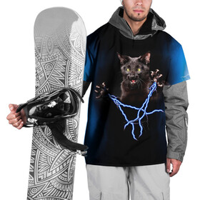 Накидка на куртку 3D с принтом Грозовой кошак(громовержец) в Екатеринбурге, 100% полиэстер |  | Тематика изображения на принте: грозовой | громовержец | кот | кошак | молнии | разряды | черный