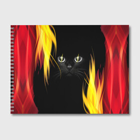 Альбом для рисования с принтом Грозовой кошак в Екатеринбурге, 100% бумага
 | матовая бумага, плотность 200 мг. | глаза | грозовой | кот | кошак | молнии | пламя | разряды | черный