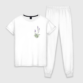 Женская пижама хлопок с принтом Lavanda в Екатеринбурге, 100% хлопок | брюки и футболка прямого кроя, без карманов, на брюках мягкая резинка на поясе и по низу штанин | лаванда | лавандовые цветы | милота | нежность | цветочки | цветы