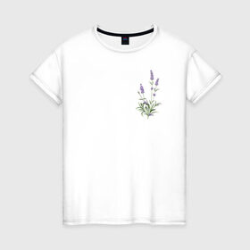 Женская футболка хлопок с принтом Lavanda в Екатеринбурге, 100% хлопок | прямой крой, круглый вырез горловины, длина до линии бедер, слегка спущенное плечо | Тематика изображения на принте: лаванда | лавандовые цветы | милота | нежность | цветочки | цветы