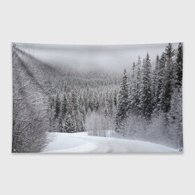 Флаг-баннер с принтом Зимняя природа в Екатеринбурге, 100% полиэстер | размер 67 х 109 см, плотность ткани — 95 г/м2; по краям флага есть четыре люверса для крепления | winter | белый | зима | искусство | лес | природа | снег | снежная | текстура | текстуры