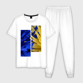 Мужская пижама хлопок с принтом Украинский акцент в Екатеринбурге, 100% хлопок | брюки и футболка прямого кроя, без карманов, на брюках мягкая резинка на поясе и по низу штанин
 | жёлтый | намёк | пионы | синий | украина | украинский флаг | флаг | цвет | цвет флага | цветы
