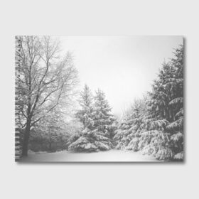 Альбом для рисования с принтом Winter Storm в Екатеринбурге, 100% бумага
 | матовая бумага, плотность 200 мг. | winter | белый | деревья | ели | ель | заснеженный | зима | зимний | искусство | лес | природа | снег | снежная | текстура | текстуры | шторм