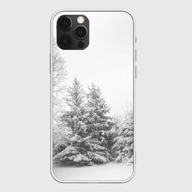 Чехол для iPhone 12 Pro Max с принтом Winter Storm в Екатеринбурге, Силикон |  | winter | белый | деревья | ели | ель | заснеженный | зима | зимний | искусство | лес | природа | снег | снежная | текстура | текстуры | шторм