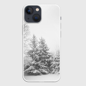 Чехол для iPhone 13 mini с принтом Winter Storm в Екатеринбурге,  |  | winter | белый | деревья | ели | ель | заснеженный | зима | зимний | искусство | лес | природа | снег | снежная | текстура | текстуры | шторм