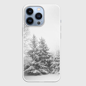 Чехол для iPhone 13 Pro с принтом Winter Storm в Екатеринбурге,  |  | winter | белый | деревья | ели | ель | заснеженный | зима | зимний | искусство | лес | природа | снег | снежная | текстура | текстуры | шторм
