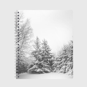 Тетрадь с принтом Winter Storm в Екатеринбурге, 100% бумага | 48 листов, плотность листов — 60 г/м2, плотность картонной обложки — 250 г/м2. Листы скреплены сбоку удобной пружинной спиралью. Уголки страниц и обложки скругленные. Цвет линий — светло-серый
 | winter | белый | деревья | ели | ель | заснеженный | зима | зимний | искусство | лес | природа | снег | снежная | текстура | текстуры | шторм