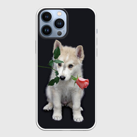 Чехол для iPhone 13 Pro Max с принтом Щенок в подарок в Екатеринбурге,  |  | Тематика изображения на принте: 8 марта щенок | husky | siberian husky | белый щенок | лайка | собака на день рождения | собака с розой | собака с цветком | хаски | щенок | щенок 8 марта | щенок лайки | щенок на 8 марта | щенок на день рождения