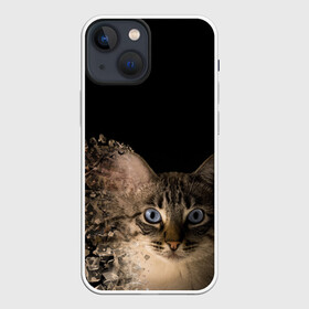 Чехол для iPhone 13 mini с принтом Disintegrating Cat в Екатеринбурге,  |  | cat | азулес | атомный кот | голубоглазая кошка | голубоглазый кот | голубоглазый котик | кот | кот к | кот распадающийся на атомы | кот с голубыми глазами | котик | котэ | кошак | кошачий портрет