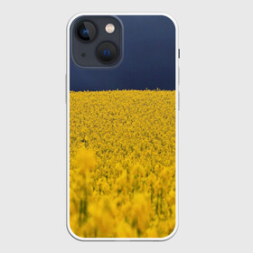 Чехол для iPhone 13 mini с принтом Рапсовое поле в Екатеринбурге,  |  | rappsfeld | жёлтые | жёлтый | небеса | небесный | небо | поле | поля | природа | природные | природный | рапсовое | растение | растения | синие | синий | украина | украинский