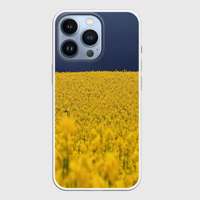 Чехол для iPhone 13 Pro с принтом Рапсовое поле в Екатеринбурге,  |  | Тематика изображения на принте: rappsfeld | жёлтые | жёлтый | небеса | небесный | небо | поле | поля | природа | природные | природный | рапсовое | растение | растения | синие | синий | украина | украинский