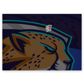 Поздравительная открытка с принтом Форма Cheetah в Екатеринбурге, 100% бумага | плотность бумаги 280 г/м2, матовая, на обратной стороне линовка и место для марки
 | design | logo | mascot | баскетбол | гепард | герои | животное | звери | зверь | киберспорт | кошка | охота | рысь | спортивная | стиль | талисман | фитнес | форма | футбол | хищник | яркие