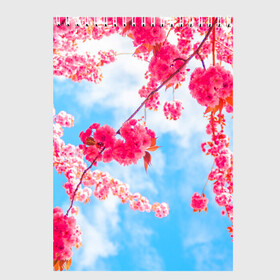 Скетчбук с принтом Цветение Вишни в Екатеринбурге, 100% бумага
 | 48 листов, плотность листов — 100 г/м2, плотность картонной обложки — 250 г/м2. Листы скреплены сверху удобной пружинной спиралью | flowers | pink | бутоны | весна | вишня | дерево | листья | небо | облака | природа | розовый | сакура | солнце | цветение | цветочки | цветы