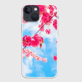 Чехол для iPhone 13 mini с принтом Цветение Вишни в Екатеринбурге,  |  | flowers | pink | бутоны | весна | вишня | дерево | листья | небо | облака | природа | розовый | сакура | солнце | цветение | цветочки | цветы