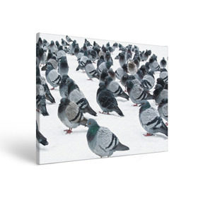 Холст прямоугольный с принтом Голуби в Екатеринбурге, 100% ПВХ |  | bird | pigeon | russia | snow | winter | голубь | животные | зима | курлык | птицы | россия | снег | текстура | фон | фотография