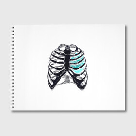 Альбом для рисования с принтом X-Ray в Екатеринбурге, 100% бумага
 | матовая бумага, плотность 200 мг. | bone | bones | chest | heart | hearts | love | organ | organs | ribs | skeleton | x ray | грудная клетка | кости | кость | орган | органы | ребра | рентген | сердца | сердце | скелет