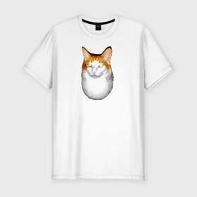 Мужская футболка премиум с принтом ГНЕГ в Екатеринбурге, 92% хлопок, 8% лайкра | приталенный силуэт, круглый вырез ворота, длина до линии бедра, короткий рукав | гнег | ирония | котэ | мем | мемы про котов | мета | постирония | прикол | ржака