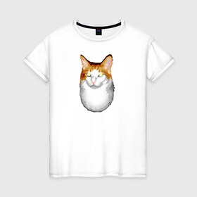 Женская футболка хлопок с принтом ГНЕГ в Екатеринбурге, 100% хлопок | прямой крой, круглый вырез горловины, длина до линии бедер, слегка спущенное плечо | гнег | ирония | котэ | мем | мемы про котов | мета | постирония | прикол | ржака