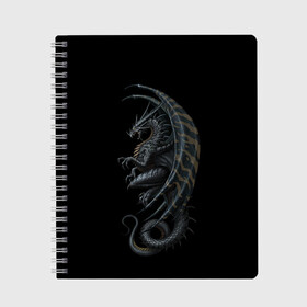 Тетрадь с принтом Black Dragon в Екатеринбурге, 100% бумага | 48 листов, плотность листов — 60 г/м2, плотность картонной обложки — 250 г/м2. Листы скреплены сбоку удобной пружинной спиралью. Уголки страниц и обложки скругленные. Цвет линий — светло-серый
 | Тематика изображения на принте: beast | dinosaur | dragon | fire | hunter | ice | monster | predator | reptile | динозавр | дракон | зверь | лед | ледяной | монстр | огненный | огонь | охотник | хищник