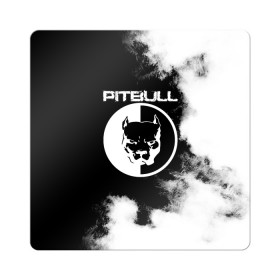 Магнит виниловый Квадрат с принтом Pitbull в Екатеринбурге, полимерный материал с магнитным слоем | размер 9*9 см, закругленные углы | american | pit bull | pitbul | pitbull | syndicate | te | агрессия | американский | апбт | башка | бошка | взгляд | голова | животное | зверь | злой | надпись | пит буль | питбул | питбуль | питбультерьер | псина | собака