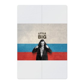 Магнитный плакат 2Х3 с принтом Little Big в Екатеринбурге, Полимерный материал с магнитным слоем | 6 деталей размером 9*9 см | little big | евровидение