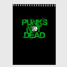 Скетчбук с принтом Punks Not Dead в Екатеринбурге, 100% бумага
 | 48 листов, плотность листов — 100 г/м2, плотность картонной обложки — 250 г/м2. Листы скреплены сверху удобной пружинной спиралью | art | punk | punks not dead | rock | sons of anarchy | анархия | арт | группа | егор летов | логотип | музыка | надпись | панк | панк рок | прикольная | рок | свобода | хаос
