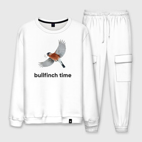 Мужской костюм хлопок с принтом Bullfinch time в Екатеринбурге, 100% хлопок | на свитшоте круглая горловина, мягкая резинка по низу. Брюки заужены к низу, на них два вида карманов: два “обычных” по бокам и два объемных, с клапанами, расположенные ниже линии бедра. Брюки с мягкой трикотажной резинкой на поясе и по низу штанин. В поясе для дополнительного комфорта — широкие завязки | bird | bullfinch | wings | летать | полет | птица | снегирь