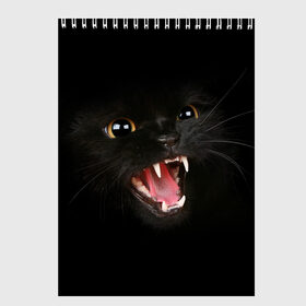 Скетчбук с принтом Злой Котик в Екатеринбурге, 100% бумага
 | 48 листов, плотность листов — 100 г/м2, плотность картонной обложки — 250 г/м2. Листы скреплены сверху удобной пружинной спиралью | Тематика изображения на принте: angry | animal | animals | beast | black | cat | kitten | британец | британка | животное | животные | зверек | зверь | злая | злой | кот | котейка | котенок | котэ | кошка | кошки | черная