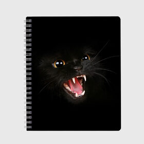 Тетрадь с принтом Злой Котик в Екатеринбурге, 100% бумага | 48 листов, плотность листов — 60 г/м2, плотность картонной обложки — 250 г/м2. Листы скреплены сбоку удобной пружинной спиралью. Уголки страниц и обложки скругленные. Цвет линий — светло-серый
 | Тематика изображения на принте: angry | animal | animals | beast | black | cat | kitten | британец | британка | животное | животные | зверек | зверь | злая | злой | кот | котейка | котенок | котэ | кошка | кошки | черная