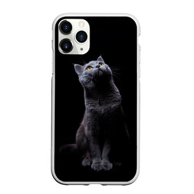Чехол для iPhone 11 Pro Max матовый с принтом Кот Британец в Екатеринбурге, Силикон |  | animal | animals | beast | black | cat | kitten | британец | британка | животное | животные | зверек | зверь | кот | котейка | котенок | котики | котэ | кошка | кошки | черная