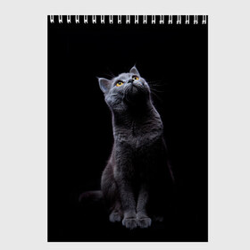 Скетчбук с принтом Кот Британец в Екатеринбурге, 100% бумага
 | 48 листов, плотность листов — 100 г/м2, плотность картонной обложки — 250 г/м2. Листы скреплены сверху удобной пружинной спиралью | animal | animals | beast | black | cat | kitten | британец | британка | животное | животные | зверек | зверь | кот | котейка | котенок | котики | котэ | кошка | кошки | черная