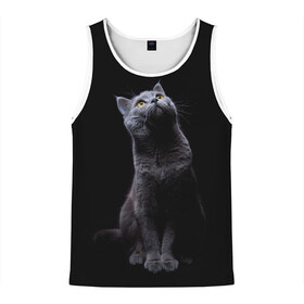 Мужская майка 3D с принтом Кот Британец в Екатеринбурге, 100% полиэстер | круглая горловина, приталенный силуэт, длина до линии бедра. Пройма и горловина окантованы тонкой бейкой | animal | animals | beast | black | cat | kitten | британец | британка | животное | животные | зверек | зверь | кот | котейка | котенок | котики | котэ | кошка | кошки | черная