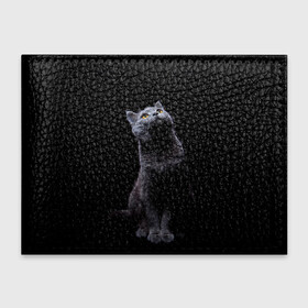 Обложка для студенческого билета с принтом Кот Британец в Екатеринбурге, натуральная кожа | Размер: 11*8 см; Печать на всей внешней стороне | Тематика изображения на принте: animal | animals | beast | black | cat | kitten | британец | британка | животное | животные | зверек | зверь | кот | котейка | котенок | котики | котэ | кошка | кошки | черная