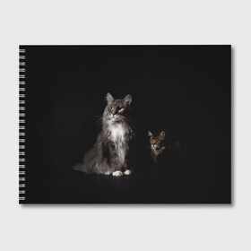 Альбом для рисования с принтом Котики в Екатеринбурге, 100% бумага
 | матовая бумага, плотность 200 мг. | animal | animals | beast | black | cat | kitten | животное | животные | зверек | зверь | кот | котейка | котенок | котики | котэ | кошка | кошки | мейн кун | черная