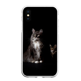 Чехол для iPhone XS Max матовый с принтом Котики в Екатеринбурге, Силикон | Область печати: задняя сторона чехла, без боковых панелей | animal | animals | beast | black | cat | kitten | животное | животные | зверек | зверь | кот | котейка | котенок | котики | котэ | кошка | кошки | мейн кун | черная