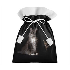Подарочный 3D мешок с принтом Котики в Екатеринбурге, 100% полиэстер | Размер: 29*39 см | Тематика изображения на принте: animal | animals | beast | black | cat | kitten | животное | животные | зверек | зверь | кот | котейка | котенок | котики | котэ | кошка | кошки | мейн кун | черная