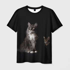 Мужская футболка 3D с принтом Котики в Екатеринбурге, 100% полиэфир | прямой крой, круглый вырез горловины, длина до линии бедер | animal | animals | beast | black | cat | kitten | животное | животные | зверек | зверь | кот | котейка | котенок | котики | котэ | кошка | кошки | мейн кун | черная