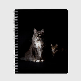 Тетрадь с принтом Котики в Екатеринбурге, 100% бумага | 48 листов, плотность листов — 60 г/м2, плотность картонной обложки — 250 г/м2. Листы скреплены сбоку удобной пружинной спиралью. Уголки страниц и обложки скругленные. Цвет линий — светло-серый
 | animal | animals | beast | black | cat | kitten | животное | животные | зверек | зверь | кот | котейка | котенок | котики | котэ | кошка | кошки | мейн кун | черная