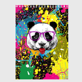 Скетчбук с принтом Панда хипстер в брызгах краски в Екатеринбурге, 100% бумага
 | 48 листов, плотность листов — 100 г/м2, плотность картонной обложки — 250 г/м2. Листы скреплены сверху удобной пружинной спиралью | hipster | panda | брызги | в очках | краска | краски | красок | крутая | милая | модная | очки | панда | показывает язык | пятна | хипстер | экспрессионизм | язык | яркая | яркие