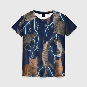 Женская футболка 3D с принтом Коты в Екатеринбурге, 100% полиэфир ( синтетическое хлопкоподобное полотно) | прямой крой, круглый вырез горловины, длина до линии бедер | город | животное | забавный | кот | молния