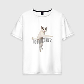 Женская футболка хлопок Oversize с принтом Пофлексим? в Екатеринбурге, 100% хлопок | свободный крой, круглый ворот, спущенный рукав, длина до линии бедер
 | cat | flex | mem | кот | мем | молодежь | прикольная надпись | прикольный кот | сленг | смешной кот | флекс | юмор